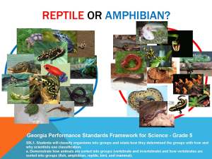 Movement Across the Curriculum Physical Education Blog_Page_16